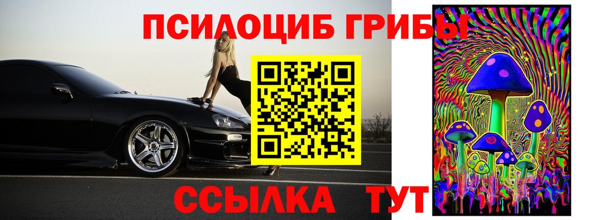 Галлюциногенные грибы Psilocybe  Псилоцибиновые грибы ЛСД  Вход с VPN  Богородицк 